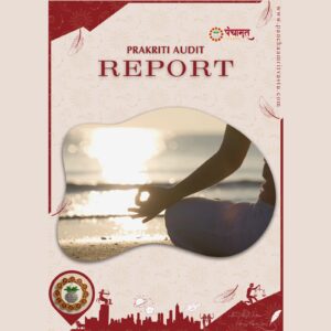 Prakriti Audit Report