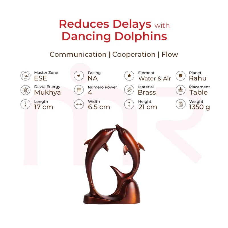 Dancing Dolphine Specification